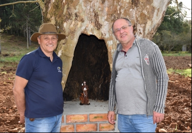 Serviço voluntário valorizado através do Projeto Vida Verde